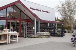 Bloemisterij Hogedijken, Dokkum openingstijden
