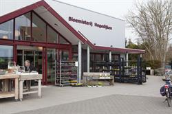 Bloemisterij Hogedijken, Dokkum openingstijden