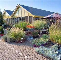 Tuincentrum van Ingen, Lienden openingstijden