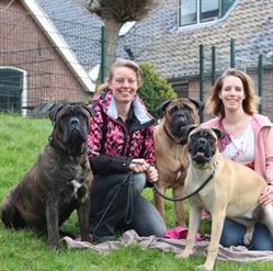 Pico Bello Honden- en Kattenhotel, Kampen openingstijden