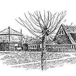 Cnme Wilgenhof, Rotterdam openingstijden