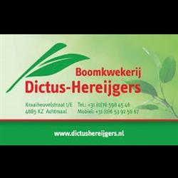 Hereijgers Boomkwekerij en Aardbeiplanten, Achtmaal openingstijden