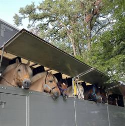 Stichting Manege "Het Roessingh", Enschede openingstijden