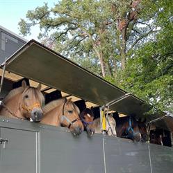Stichting Manege "Het Roessingh", Enschede openingstijden