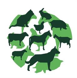 Dierenartsenpraktijk Uithoorn-Aalsmeer, openingstijden