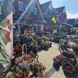 Van Seijen bloemen, Gieten openingstijden
