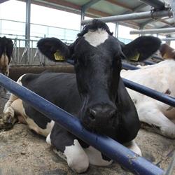 Agriprom Veevoedings- en Inkuiladditieven, Nieuwleusen openingstijden