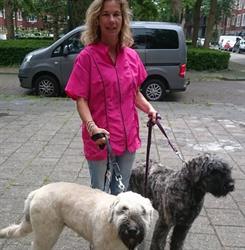 Happy Dog Trimshop, Groningen openingstijden