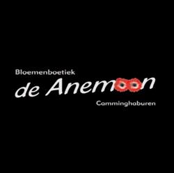 De Anemoon camminghaburen, Leeuwarden openingstijden