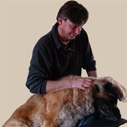 Honden Opleidings- en Gedragscentrum Zeeland (Hogz), Wilhelminadorp openingstijden