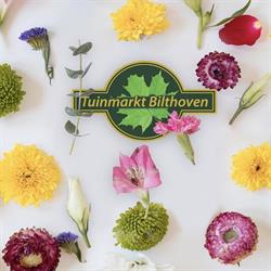 Tuinmarkt Bilthoven, openingstijden