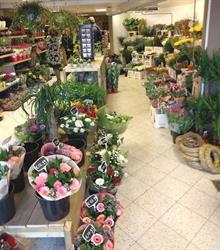 Bloemenshop Best, openingstijden