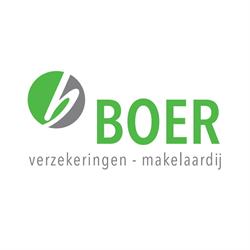 Boer verzekeringen - makelaardij, Bellingwolde openingstijden