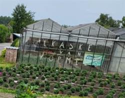 Bloemenhandel Kaske van Kopmels 't, 's-Gravenpolder openingstijden