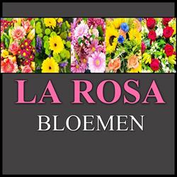 La Rosa Bloem en Kado, Hengelo openingstijden