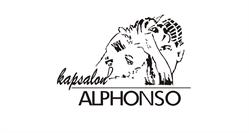 Alphonso Kapsalon en Zonnestudio, Sneek openingstijden