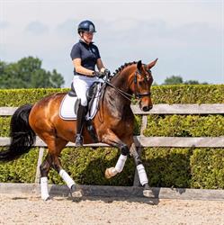 Manege De Oude Meerdijk Pension en Dressuurstal, Emmen openingstijden