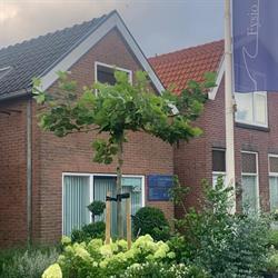 Fysio Haayen, Monster openingstijden