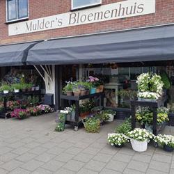 Mulder's Bloemenhuis, IJmuiden openingstijden
