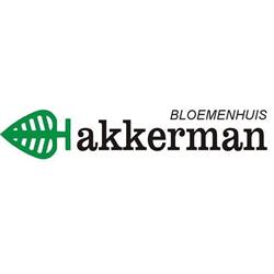 Akkerman Bloemenhuis, Delfzijl openingstijden