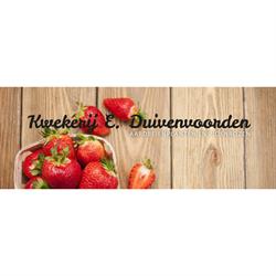 Kwekerij E. Duivenvoorden, Lisserbroek openingstijden