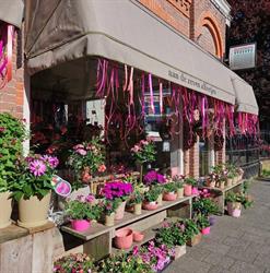 bloem & styling aan de zeven alleetjes, Zwolle openingstijden