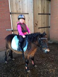 Manege "Achter 'n Bos", Rijssen openingstijden