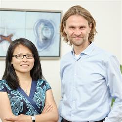 Acupuncturist.nl, Gilles Stoop, Utrecht openingstijden