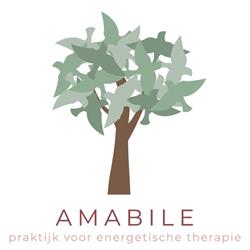 Amabile praktijk voor energetische therapie, Middelburg openingstijden