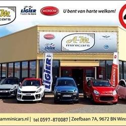 AM Minicars Centrum Winschoten - openingstijden