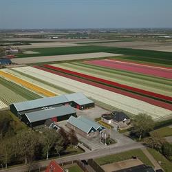 Amsonia Bv, Tuitjenhorn openingstijden