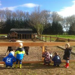 Bonte Paard Groepsaccommodatie Het, Dwingeloo openingstijden