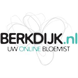 Berkdijk Bloemen, Tilburg openingstijden