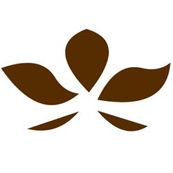Bloemfontein Bv Aannemingsbedrijf, Stellendam openingstijden