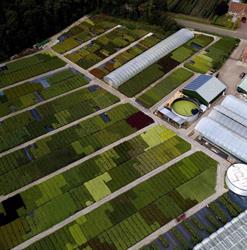 Boomkwekerij Verbro VOF, Rijsbergen openingstijden