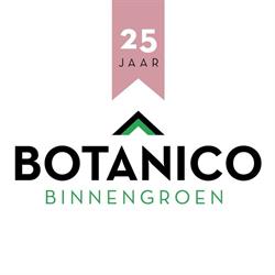 Botanico Binnengroenprojecten, Rijsenhout openingstijden
