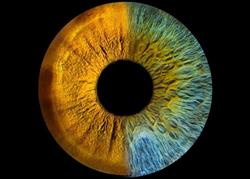 Antwerpen, Luc van Optometrist Optiek, Eersel openingstijden