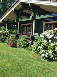 Bungalowpark Hoogersmilde, openingstijden