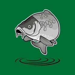 CarpCompany, Doetinchem openingstijden