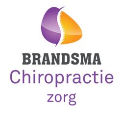 Brandsma Chiropractie Zorg, Sneek openingstijden