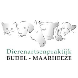 Dierenartsenpraktijk Budel-Maarheeze, openingstijden