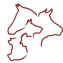 Dierenartsenpraktijk Ell, openingstijden