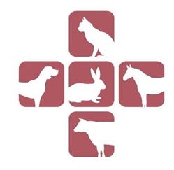 Dierenartsenpraktijk Olst - Wijhe, openingstijden