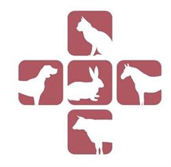 Dierenartsenpraktijk Olst-Wijhe, openingstijden