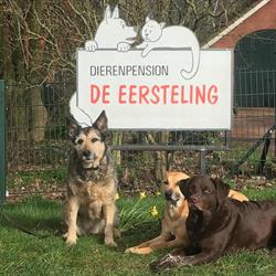 Dierenpension De Eersteling, Roswinkel openingstijden