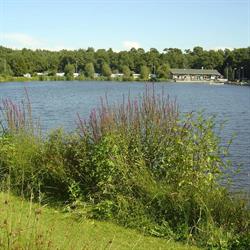 Camping de Entekoele - Camping, Zuidwolde openingstijden