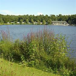 Camping de Entekoele - Camping, Zuidwolde openingstijden