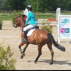 Manege/Pensionstal Hippisch Centrum de Haerst, Zwolle openingstijden