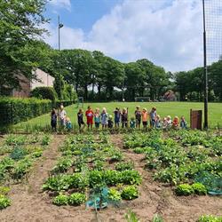 Agora Basisschool De Kraanvogel, Vorden openingstijden