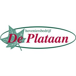 Hoveniersbedrijf De Plataan, Brakel openingstijden